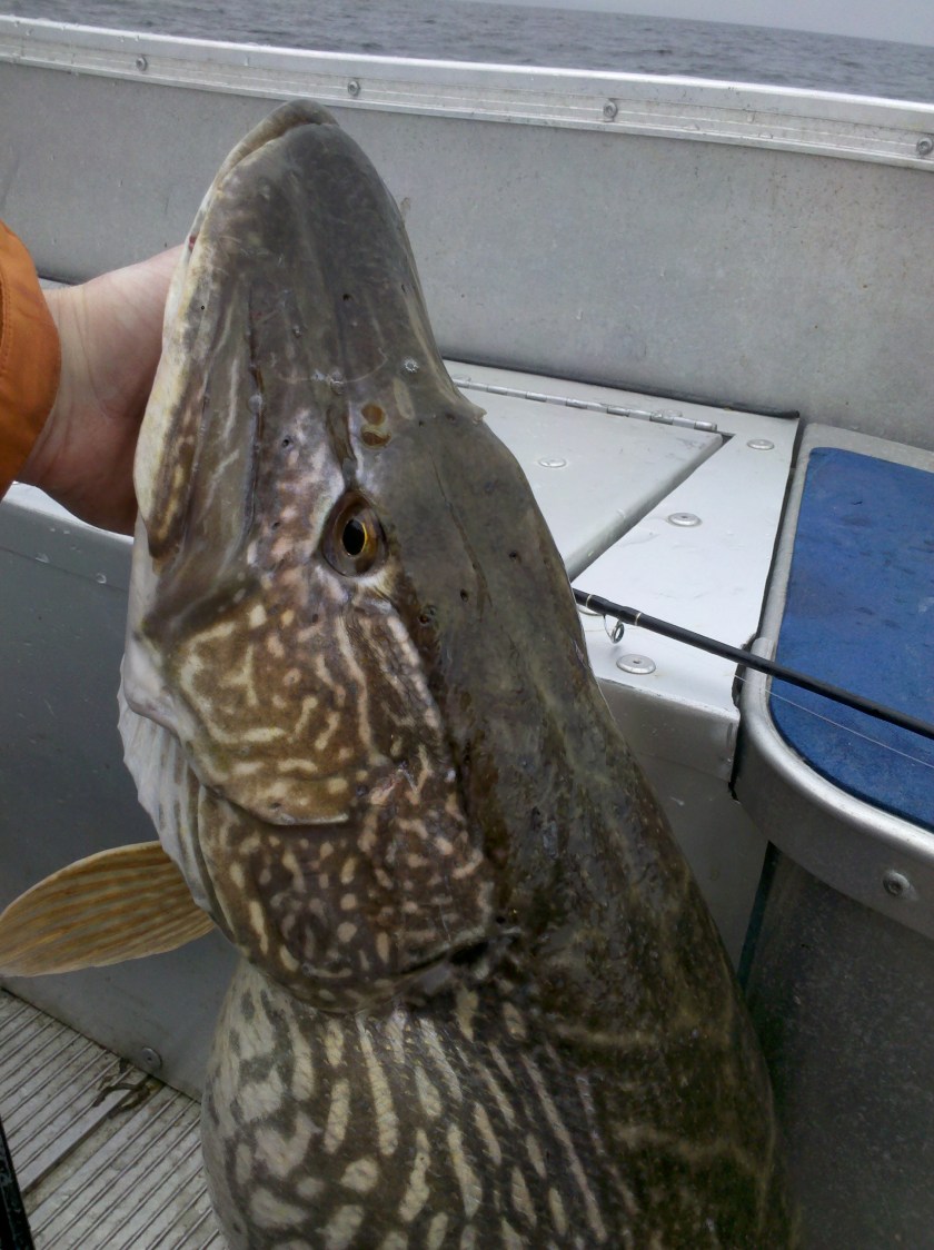 2013-03-23_13-07-27_481