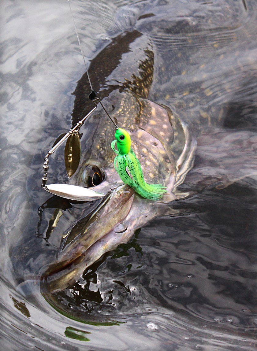 Barrage du gour noir (Luzège) 2